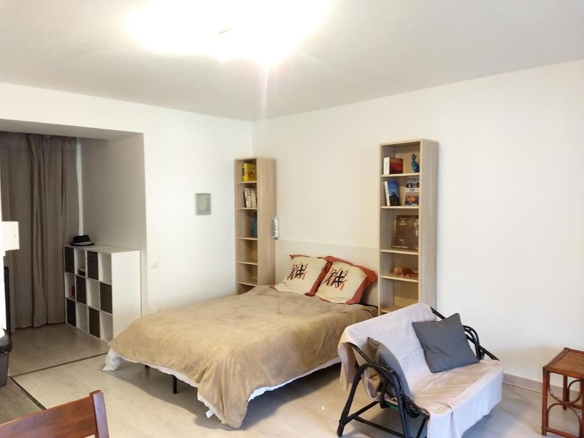 Le Petit Nid Apartment Montgaillard  Bagian luar foto